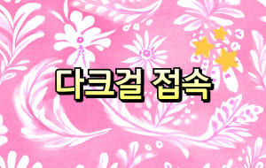 다크걸 접속